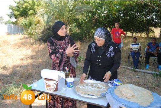 torath droor  (14).JPG